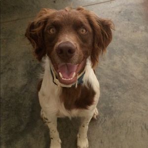 Meet your Posher, Claire